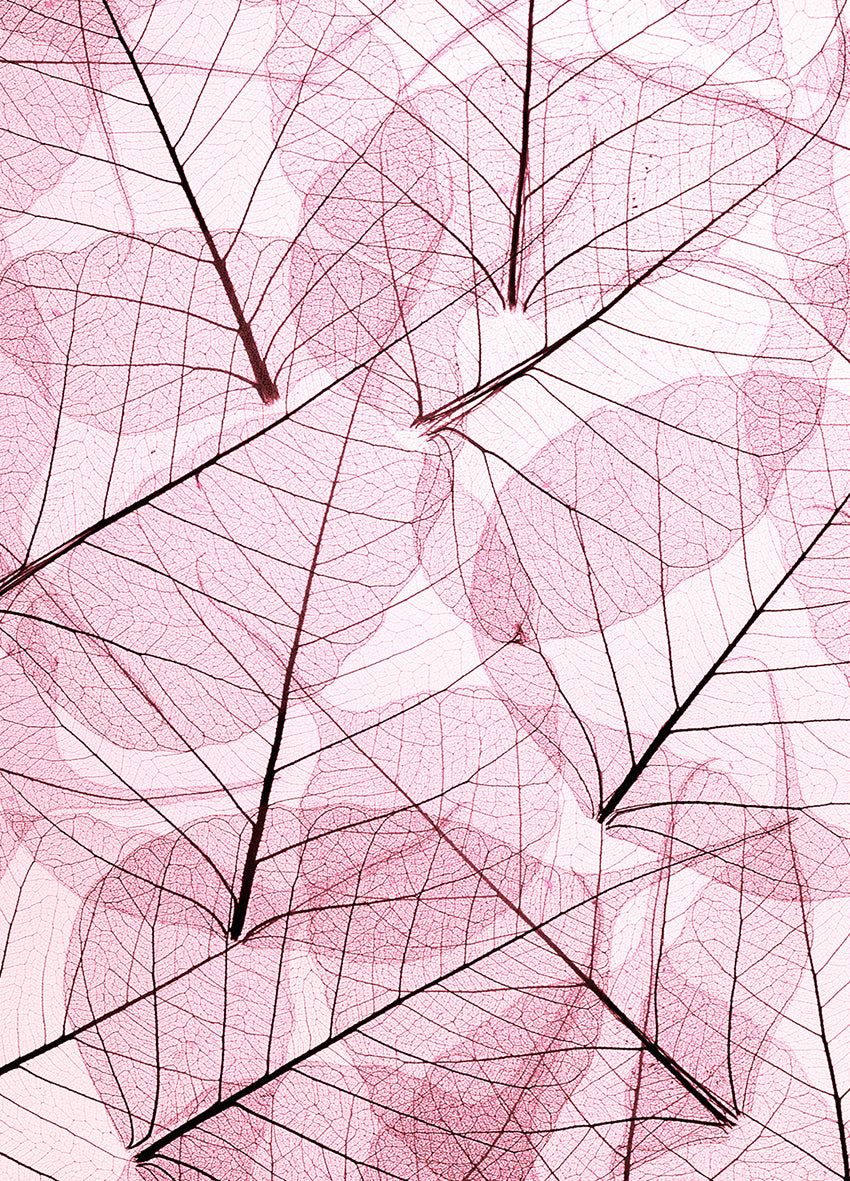 Canvastavla - Leafs