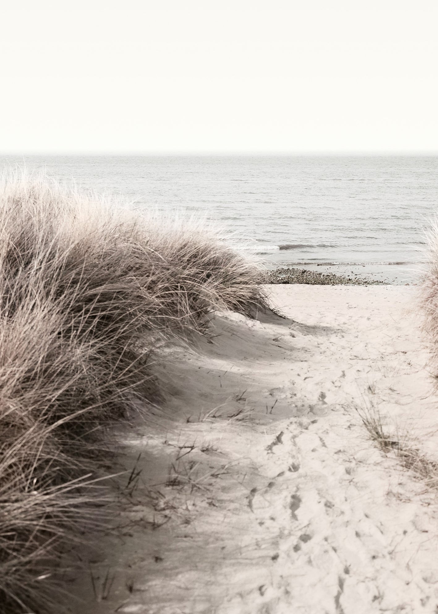 Canvastavla -Ocean Shore